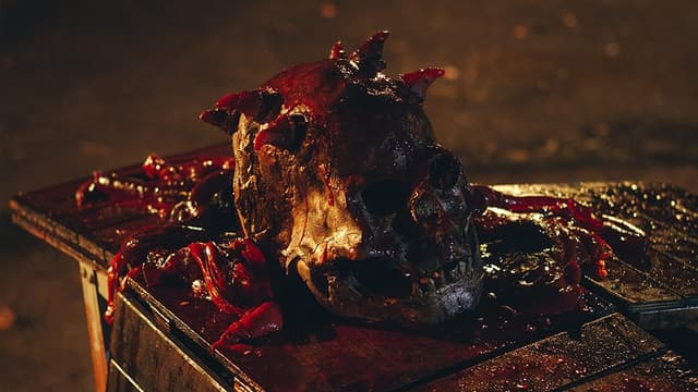 Skull: A Máscara de Anhangá assista online