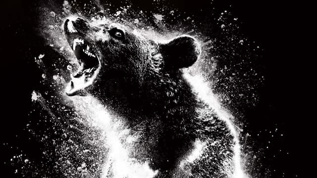 O Urso do Pó Branco assista online