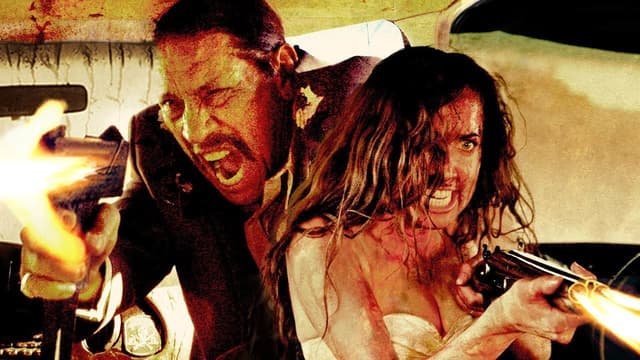VANish assista online
