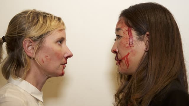 Catfight assista online