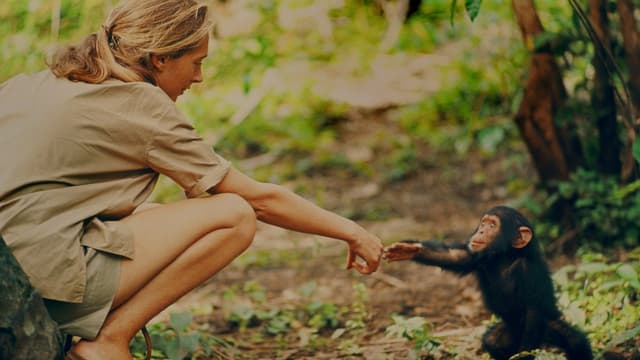 Jane: A Mãe dos Chimpanzés assista online