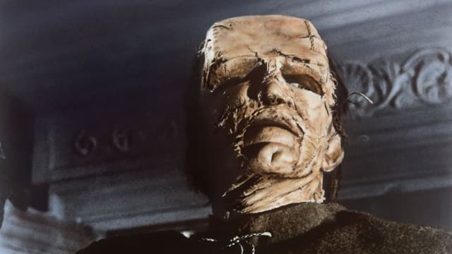 O Monstro de Frankenstein assista online