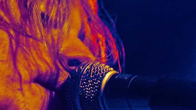 Rock N' Roll:  Vivendo no Limite assista online