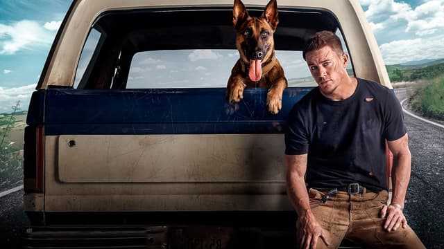 Dog - A Aventura de Uma Vida assista online