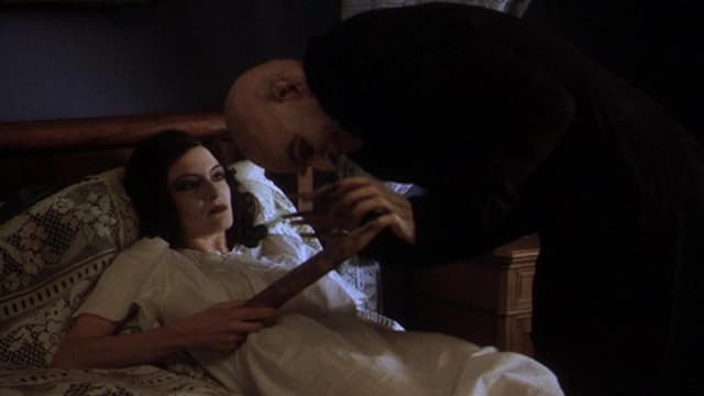 A Sombra do Vampiro assista online