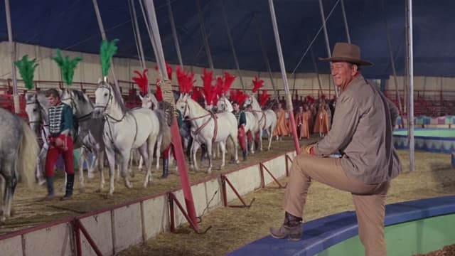 O Mundo do Circo assista online