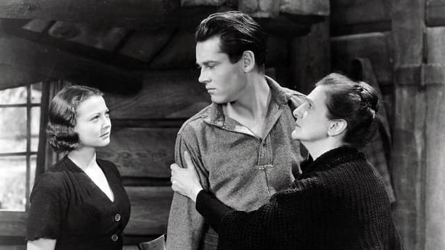 The Trail of the Lonesome Pine assista online