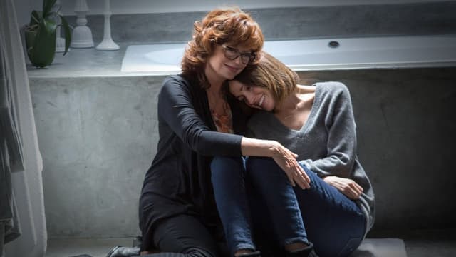 A Intrometida assista online