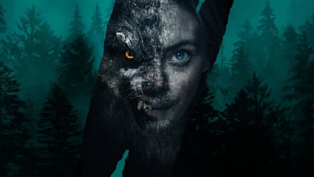 O Lobo Viking assista online