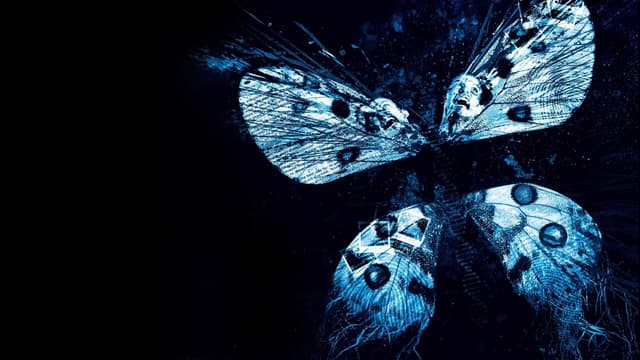Efeito Borboleta: Revelação assista online