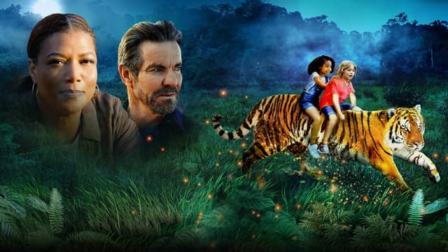 O Despertar do Tigre assista online