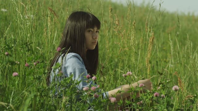 Himizu assista online