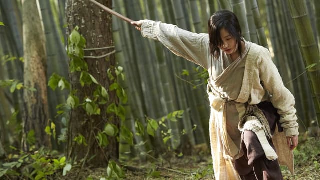 Memories of the Sword assista online