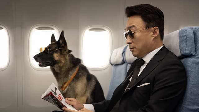 Agente Z: Mistério no Zoo assista online