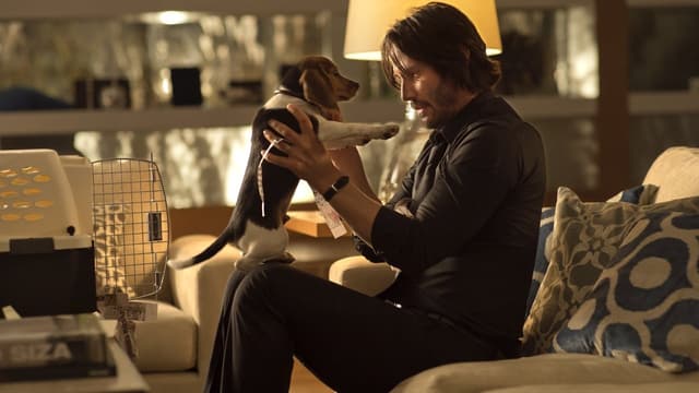 John Wick - De Volta ao Jogo assista online