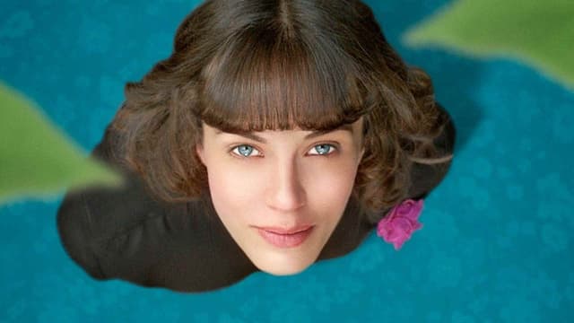 Uma Beleza Fantástica assista online