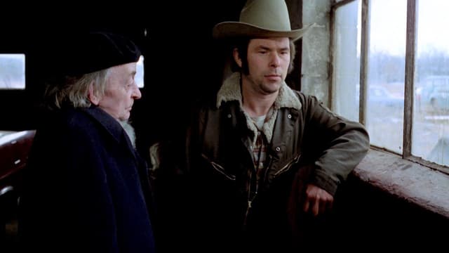 Stroszek assista online