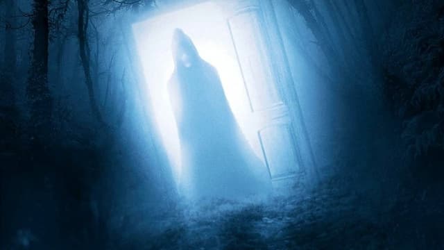 Door in the Woods assista online