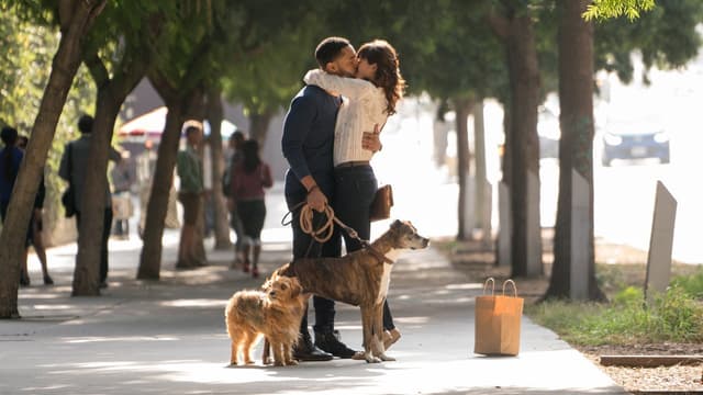 Nossa Vida com Cães assista online
