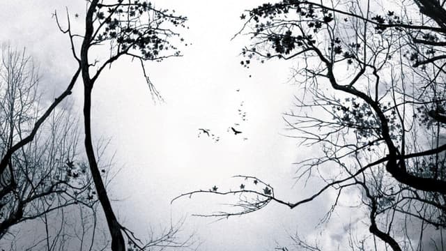 Premonições assista online