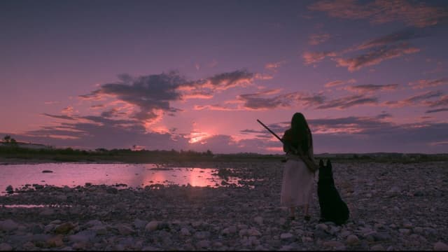 Birdshot assista online