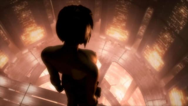 Ghost in the Shell 2.0 assista online