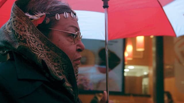 A Morte e Vida de Marsha P. Johnson assista online