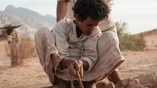 Lobo do Deserto assista online