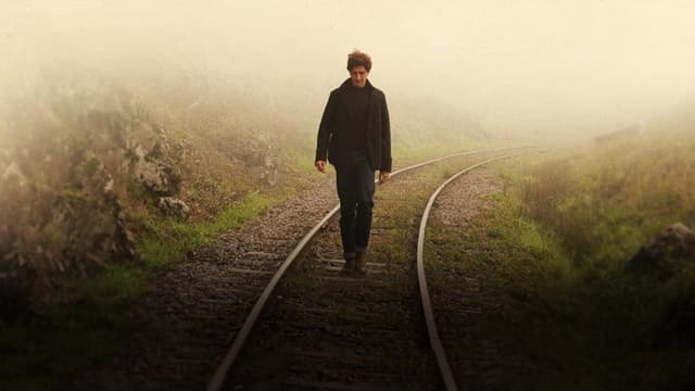 O Filme da Minha Vida assista online
