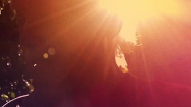 Ram Dass, Going Home assista online