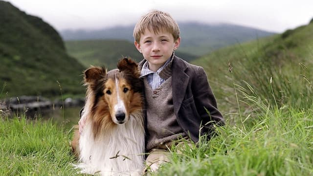 Lassie assista online