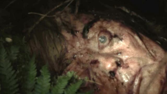 Cold Ground assista online