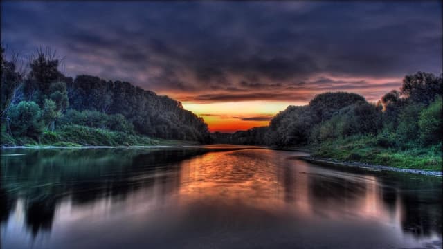 Amazônia assista online