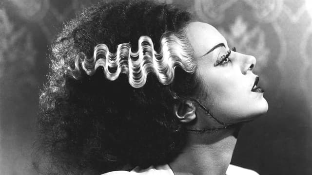 A Noiva de Frankenstein assista online