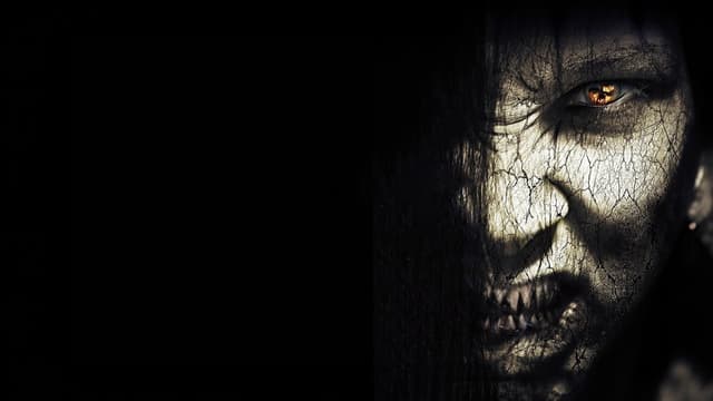 The Wicked assista online