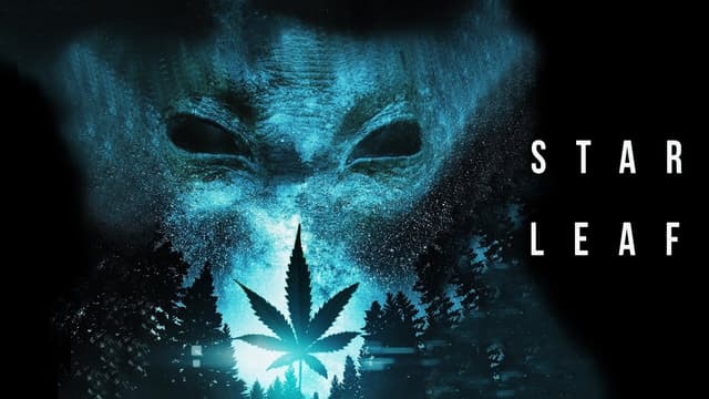 Star Leaf assista online