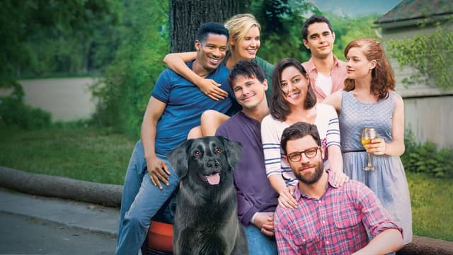 Amigos Para a Vida assista online