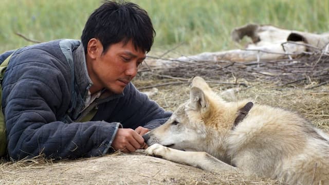 Espírito de Lobo assista online