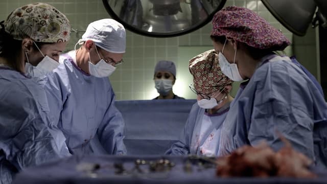 Ciência Perversa assista online