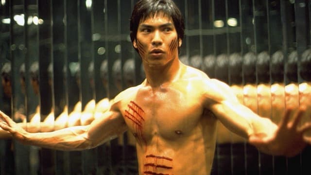 Dragão: A História de Bruce Lee assista online