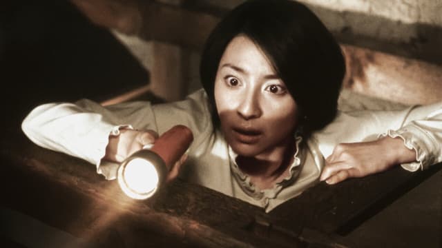 Ju-on - O Grito assista online
