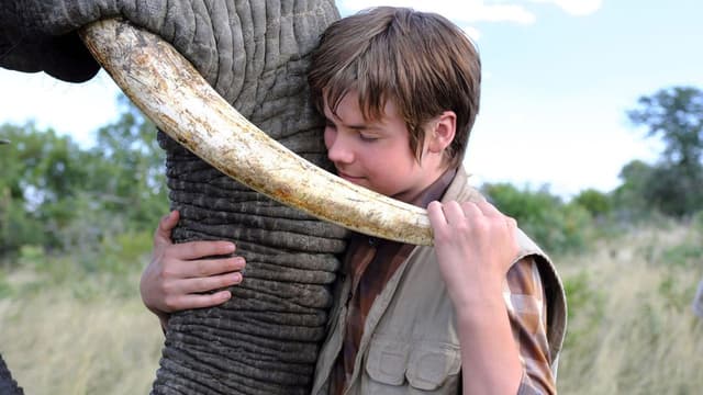 Phoenix Wilder and the Great Elephant Adventure assista online