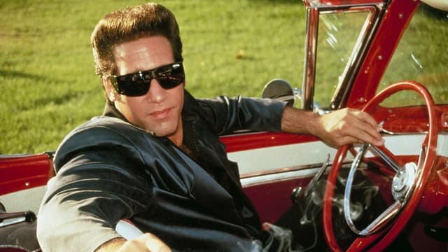 As Aventuras de Ford Fairlane assista online
