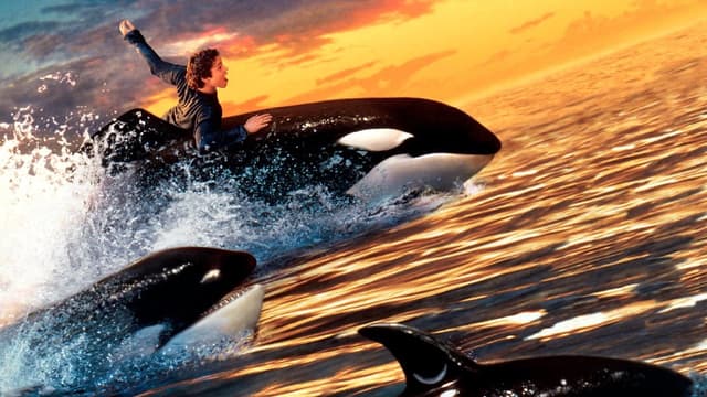 Free Willy 2 - A Aventura Continua assista online
