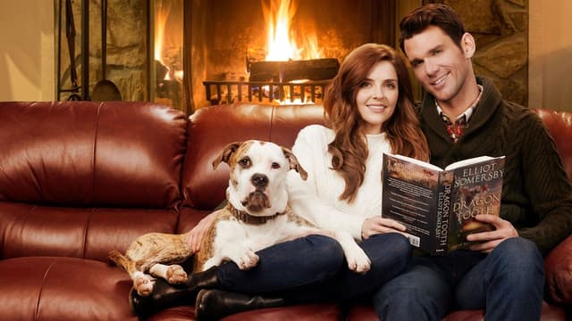 História de Amor no Inverno assista online