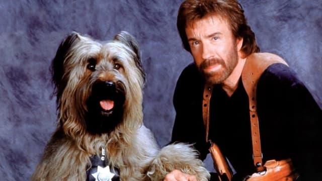 Top Dog - Uma Dupla Animal assista online