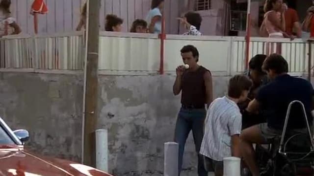 Loucuras de Verão assista online
