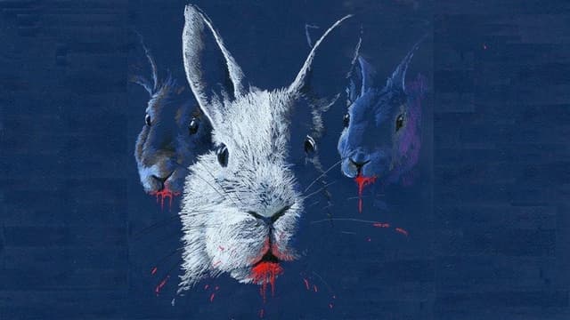 A Noite dos Coelhos assista online