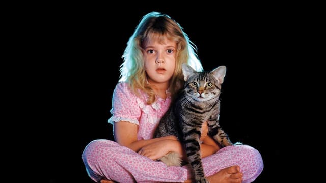 Olhos de Gato assista online