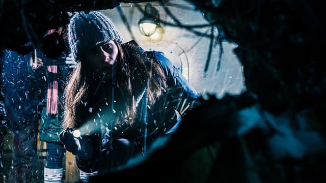 Harbinger Down - Terror no Gelo assista online
